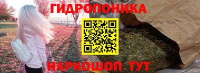 молекула духа Краснознаменск