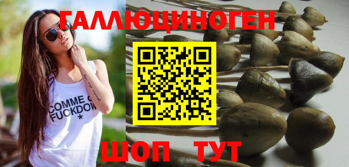 Орехово-Зуево  Псилоцибиновые грибы прущие грибы  Вход с VPN  цены наркотик  Галлюциногенные грибы Psilocybe 