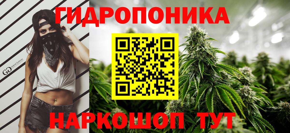 Конопля Amnesia Орехово-Зуево
